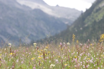 IMG_6116.JPG