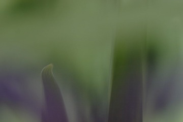 IMG_6102.JPG