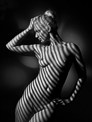 赛事绶带奖, Gerhard Boehm, 德国, Light  and  Shadow   2