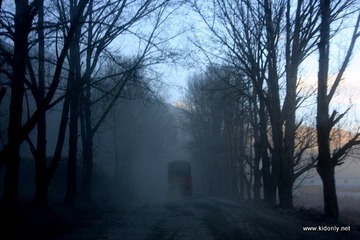 IMG_3149.JPG