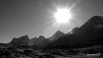 20090625_d119b2ab4bb64263