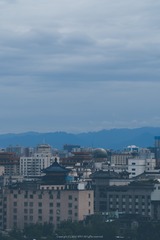 2013991