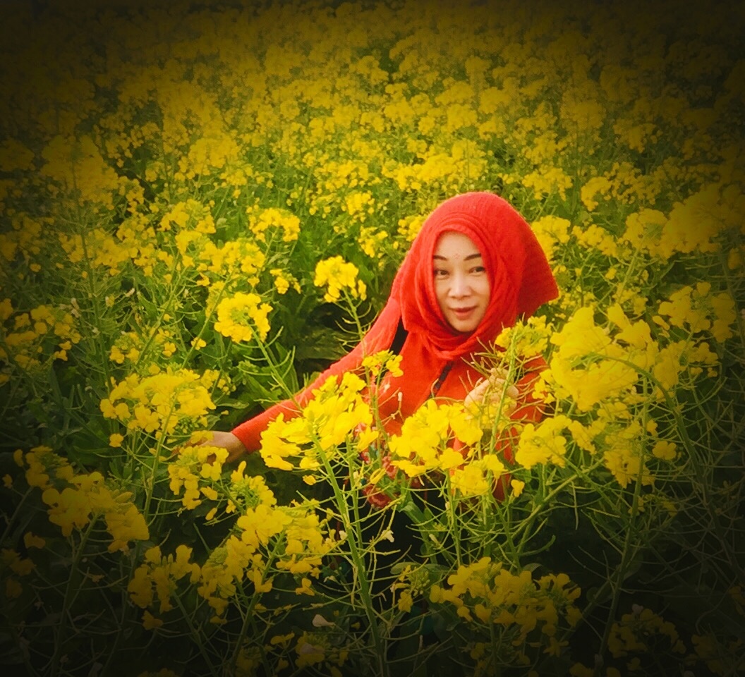 挫折时从容乐观的面对失意时淡然优雅的转身学会在阴霾中找寻温暖学会