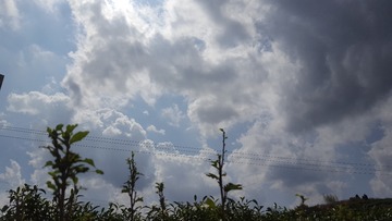 267176