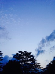 2CBFF75D-A591-4034-B954-32DD3F0A9FC6/L0/001