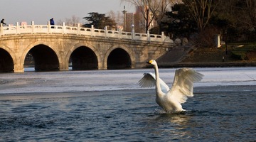 IMG_2074-1.jpg