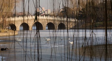 IMG_1910-26.jpg