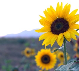 IMG_9904_副本.jpg