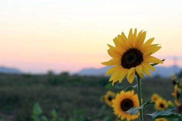 IMG_9907.jpg