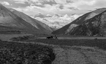 IMG_7268-2