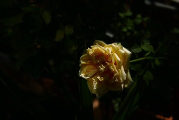 46A97B50-28EC-45FC-ACF2-4C649F87FB65/L0/001