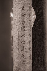 4CEB75FE-D934-482E-ADF0-A0F9244EBB41/L0/001