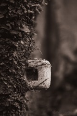 D410D5AD-B063-448F-B8F1-D71B0F42B3F5/L0/001