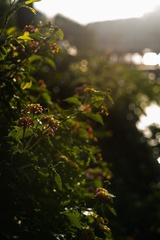 10841581-B9E6-4E88-AEE0-3BC33BC4ED22/L0/001