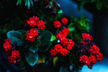 FB92A363-E777-4E4B-A733-5F445D1AF17B/L0/001