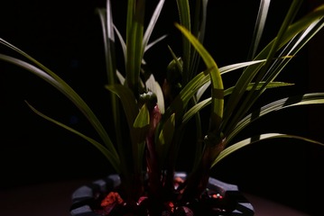 279D4AF9-F746-42FE-9EDE-A51835CCBF0D/L0/001