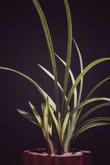 E7BB5657-3E1A-44B5-A8B9-B3A8599C1734/L0/001
