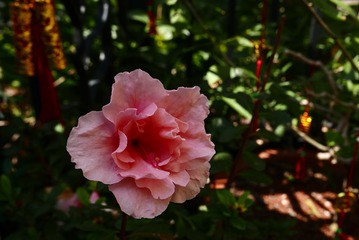 47A01749-6B8B-47E5-A766-F3C69B393614/L0/001