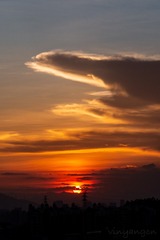 C17E287E-785C-4D38-8A18-B5A46D74C6F8/L0/001