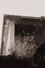 3C4D4B32-8B5F-4FAA-AC69-8BD0B936B177/L0/001