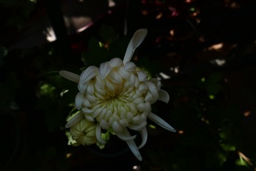 D8EBF91D-9754-4BA6-8FD8-8B5240041933/L0/001