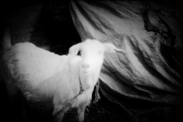 Scan-100303-0026