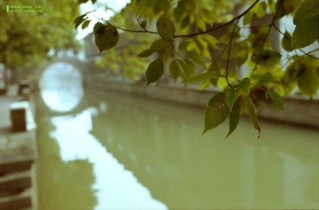 Scan-100302-0034