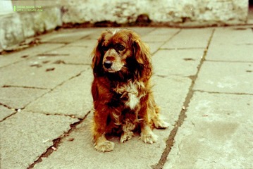 Scan-100302-0072