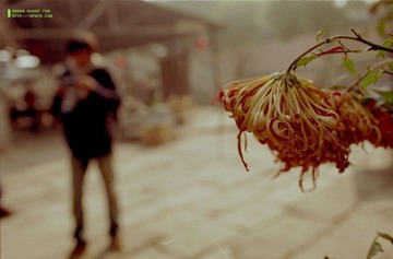 Scan-100302-0002