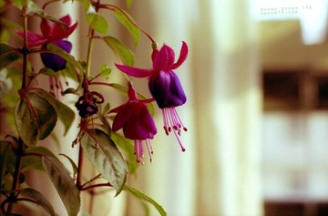 Scan-100412-0003