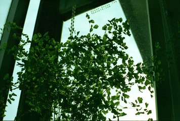 Scan-100414-0012