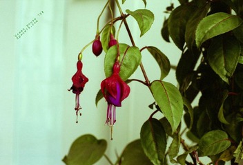 Scan-100414-0017