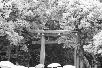 神社