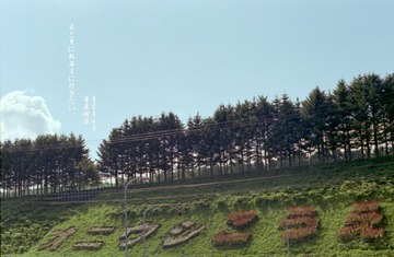 淡淡遥远