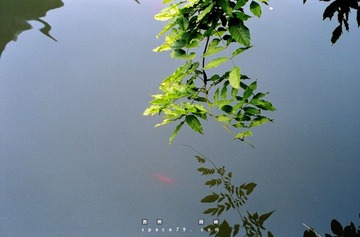 Scan-100704-0046