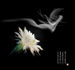 大图0001.jpg