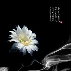 大图0002.jpg