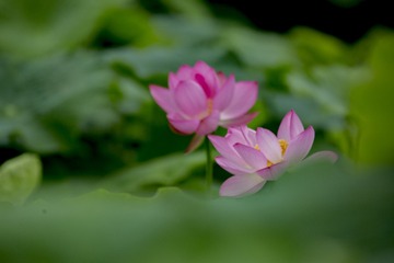 951