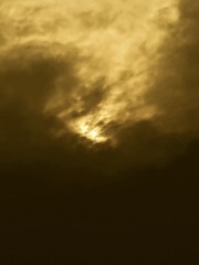 DBEF47CA-2847-43C5-9112-039FF194F4E1/L0/001