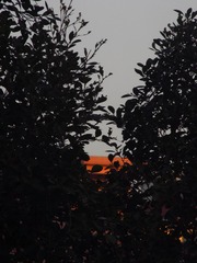 2706719