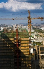 BinJiang_Project_47