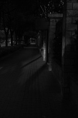 3A1AEBBF-7E09-42A3-9AEF-64DB03972F83/L0/001