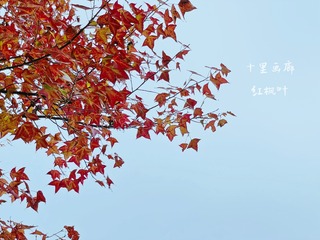 73C72EA6-D8D4-4C73-8724-51C1F70DB111/L0/001