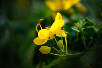 20100530-DSC_2673
