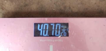 1481319
