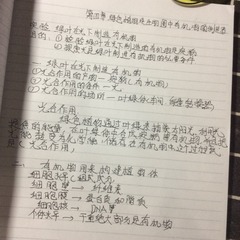 1497831