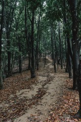 6137875