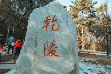 6218382