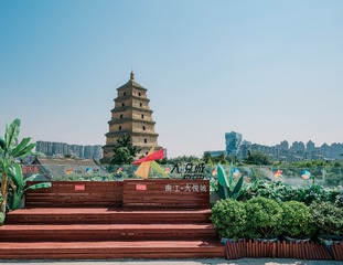 6233591
