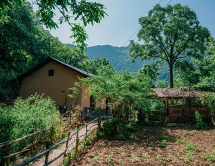 6235297